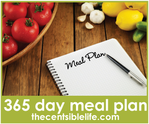 365 day meal plan