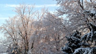 20 Things to Do on a Snow Day & Snow Ice Cream Recipe