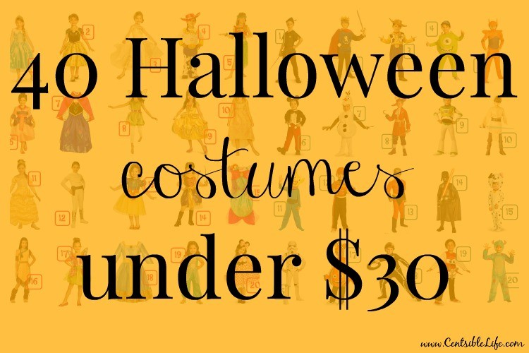 40 halloween costumes under $30